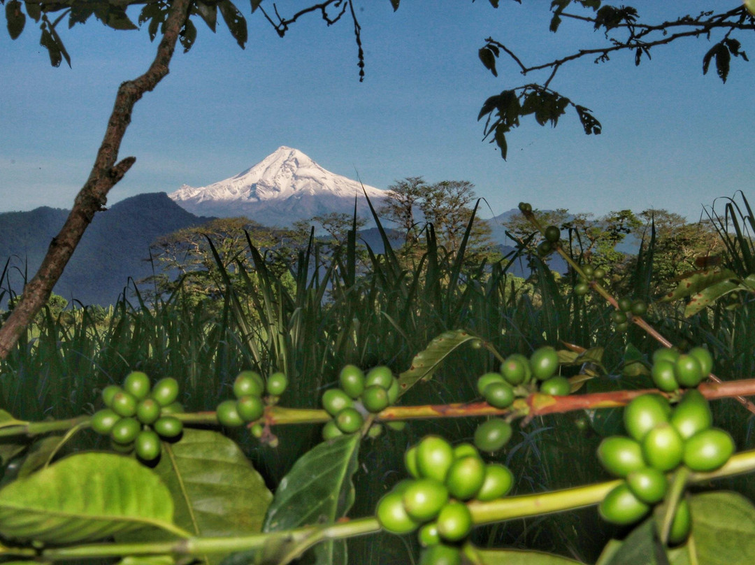 Ex-Hacienda Guadalupe-Cordoba必去景点