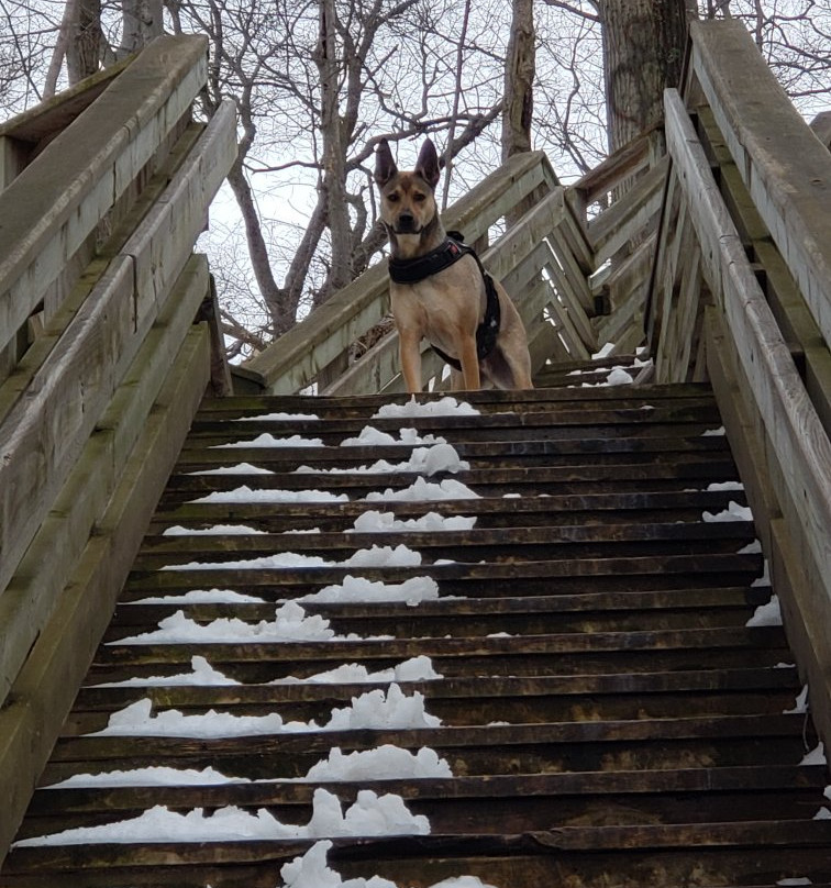 Sanctuary Woods-荷兰村必去景点