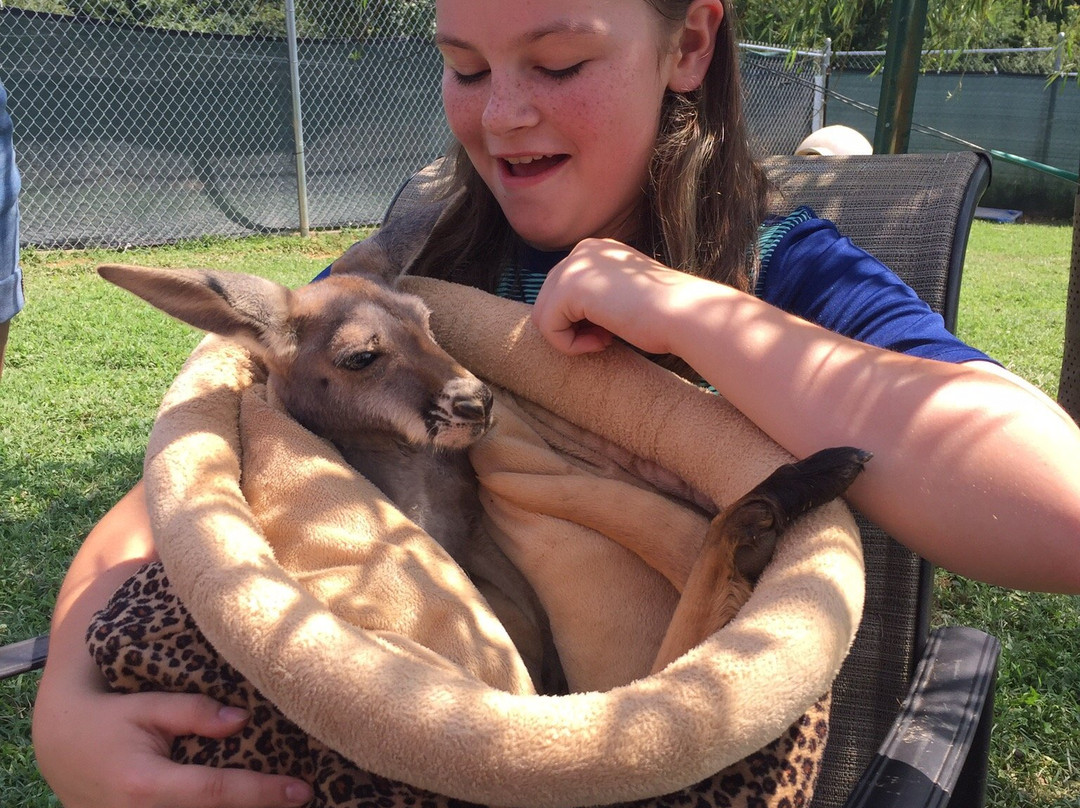 Roos2u-Germantown必去景点