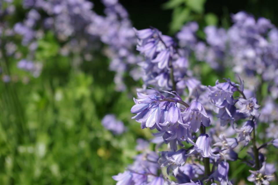 Three Ponds Holiday Park-South Heighton必去景点