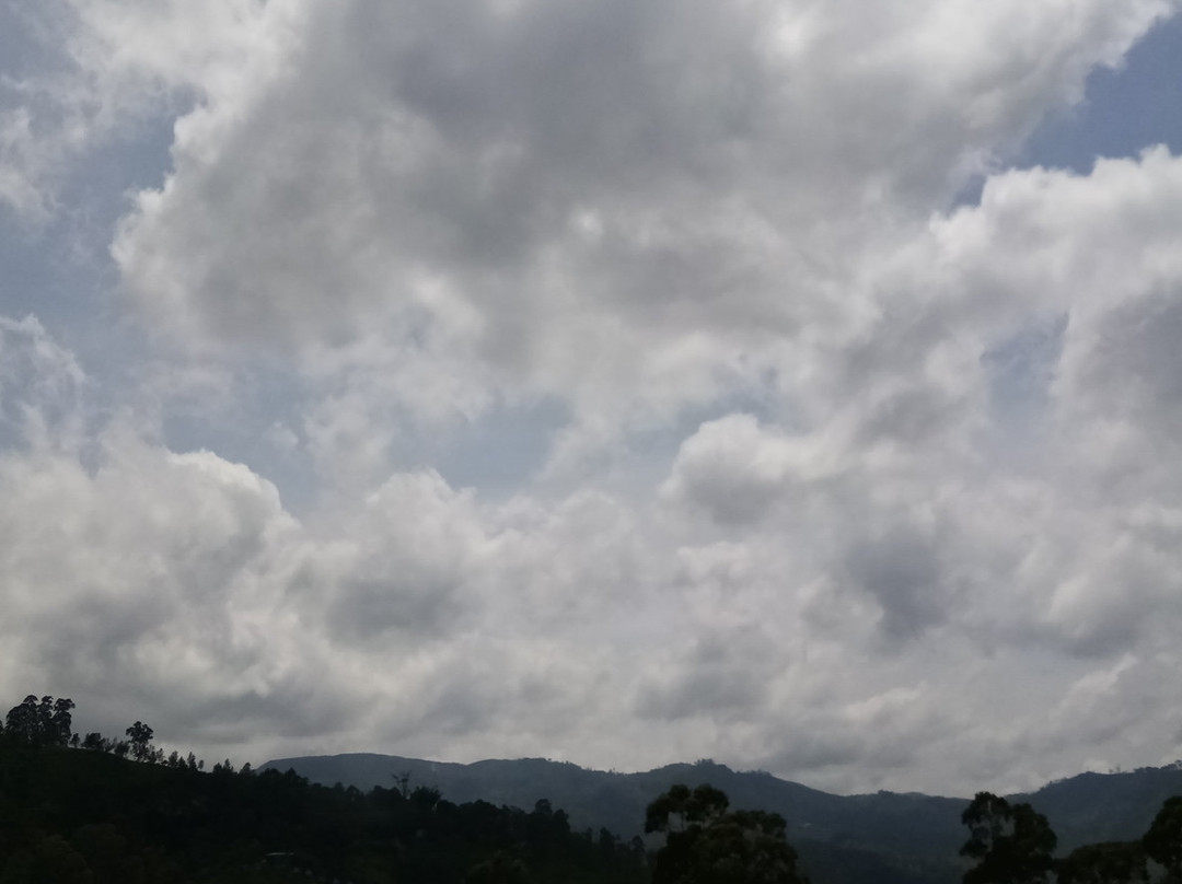 Taxi Nuwaraeliya srilanka Tour with Henry-奴娃拉伊利雅必去景点