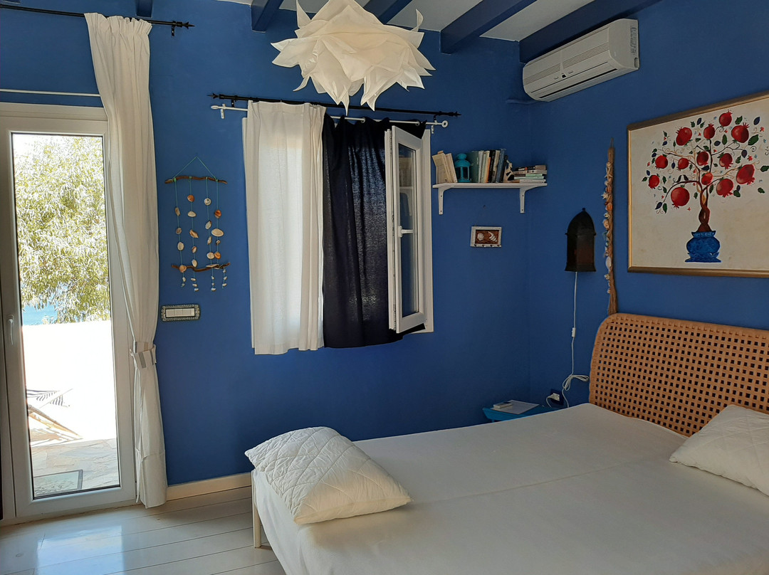 Il Canto delle Cicale主图