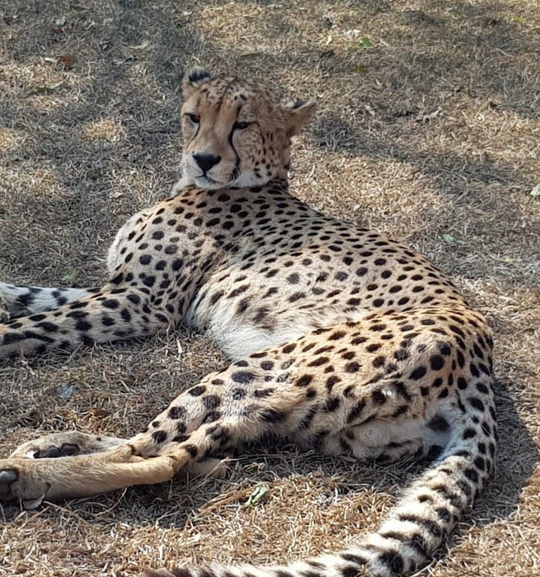 Emdoneni Lodge Spa-赫卢赫卢韦必去景点