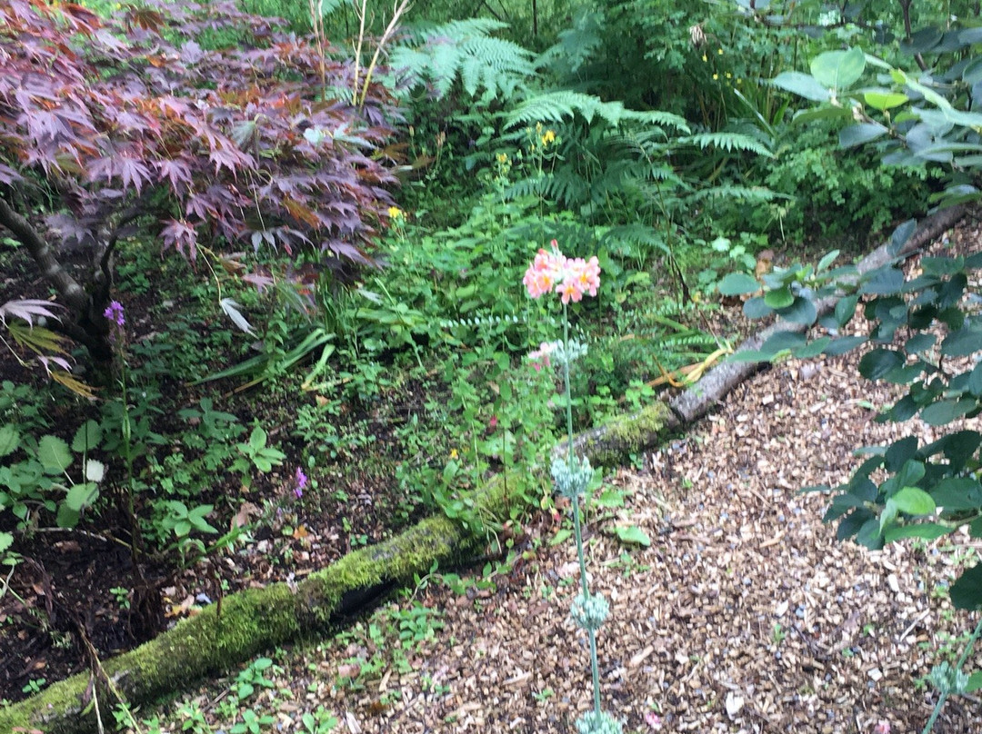 Explorers' Garden at Pitlochry Theatre-皮特洛赫里必去景点