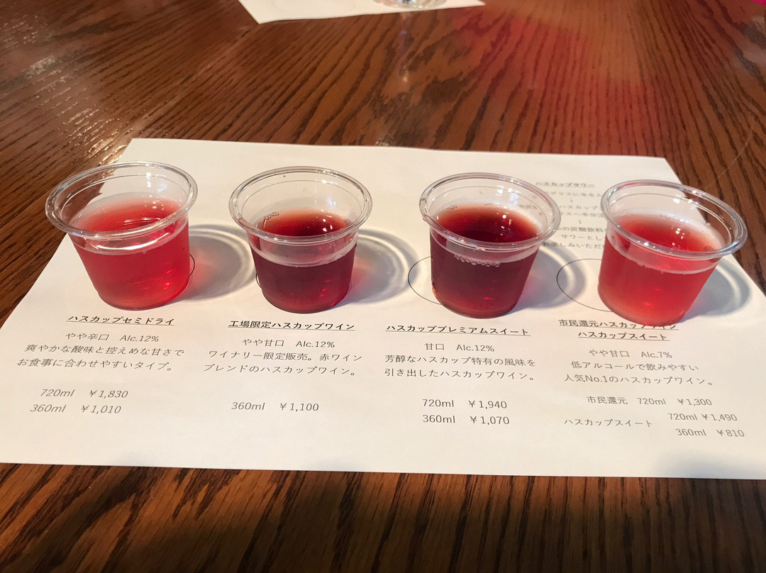 Grace Wine Chitose Winery-千岁市必去景点