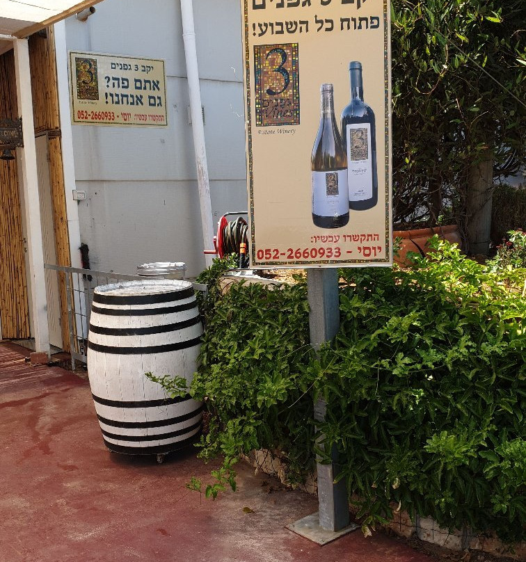 3 Vines Winery景点图片
