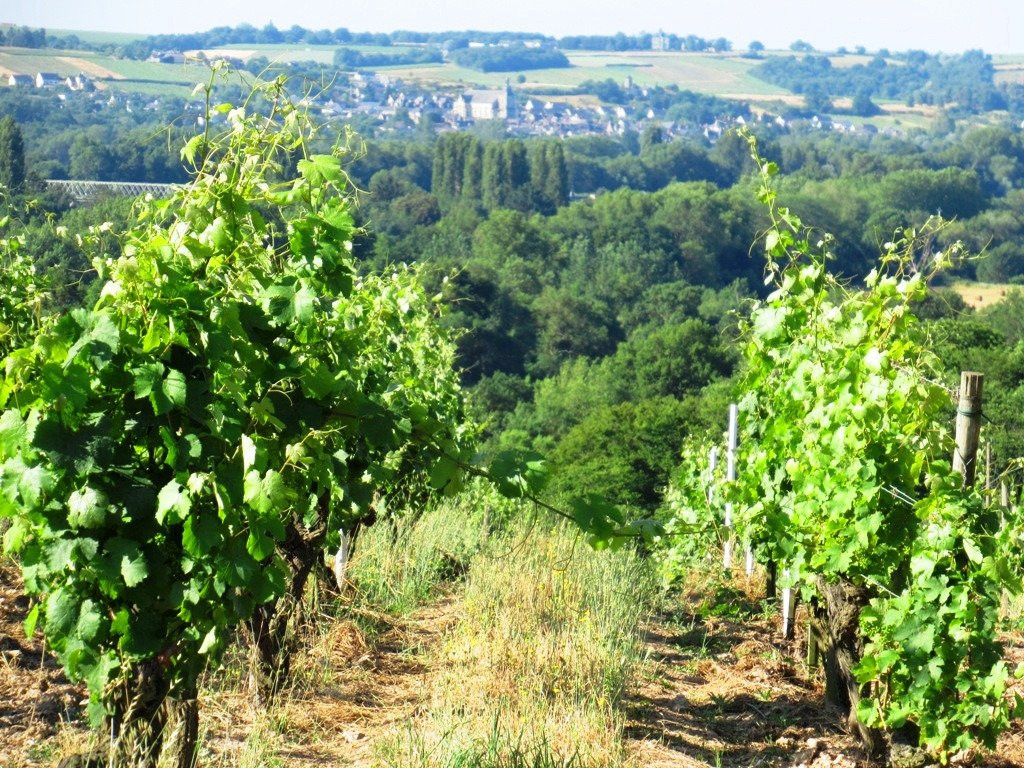 Domaines aux Moines景点图片