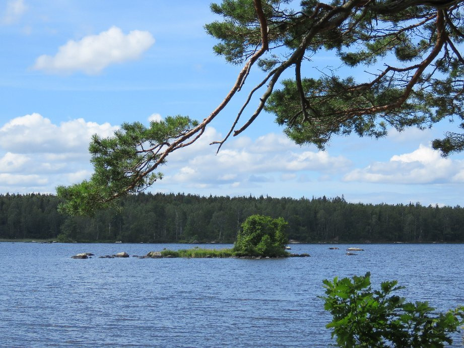 Åsnens National Park-韦克舍必去景点