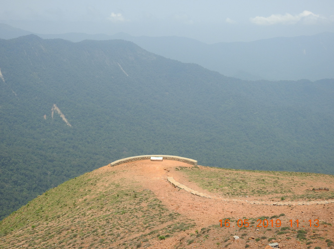 Pushpagiri Wildlife Sanctuary景点图片