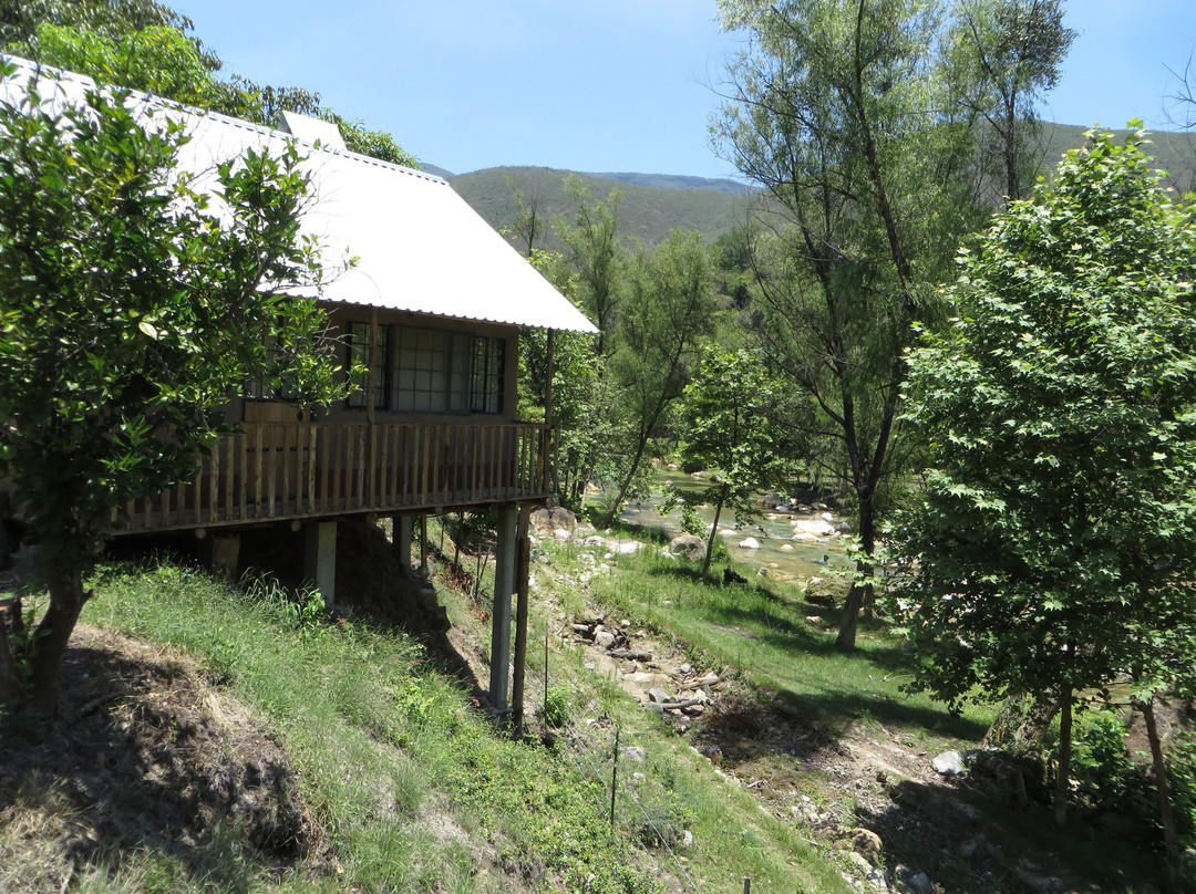 Campamento Los Sauces
