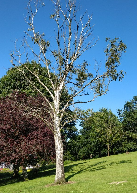 Moat Park-Dundonald必去景点
