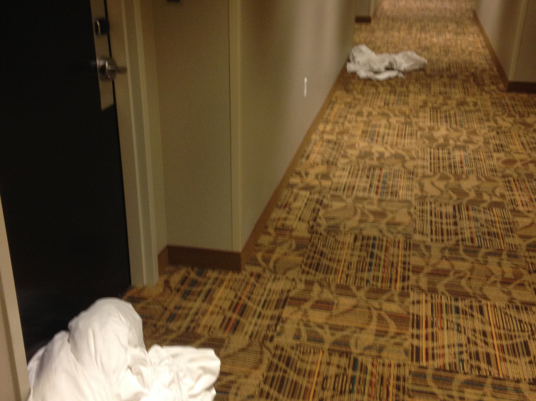 Comfort Inn St Louis - Airport主图