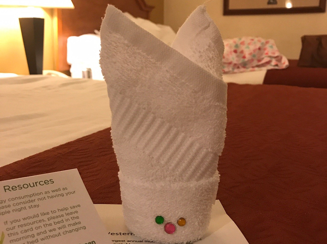 Sturgis Lodge and Suites主图