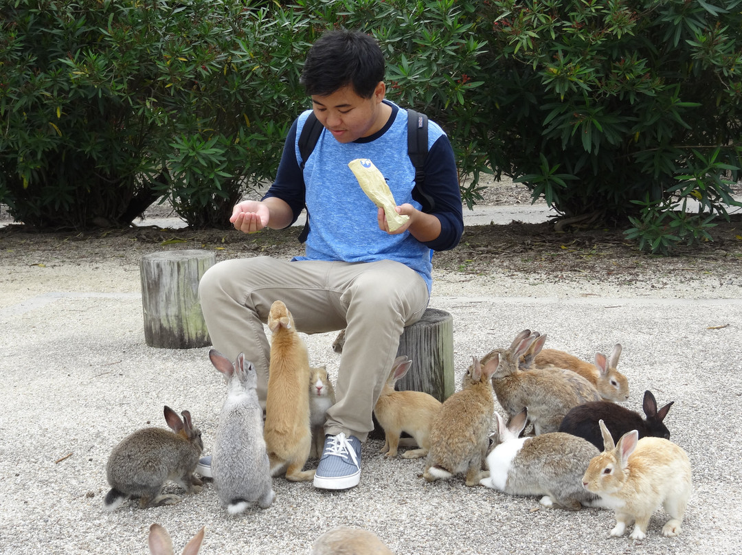 Southern Fort Remains-竹原市必去景点