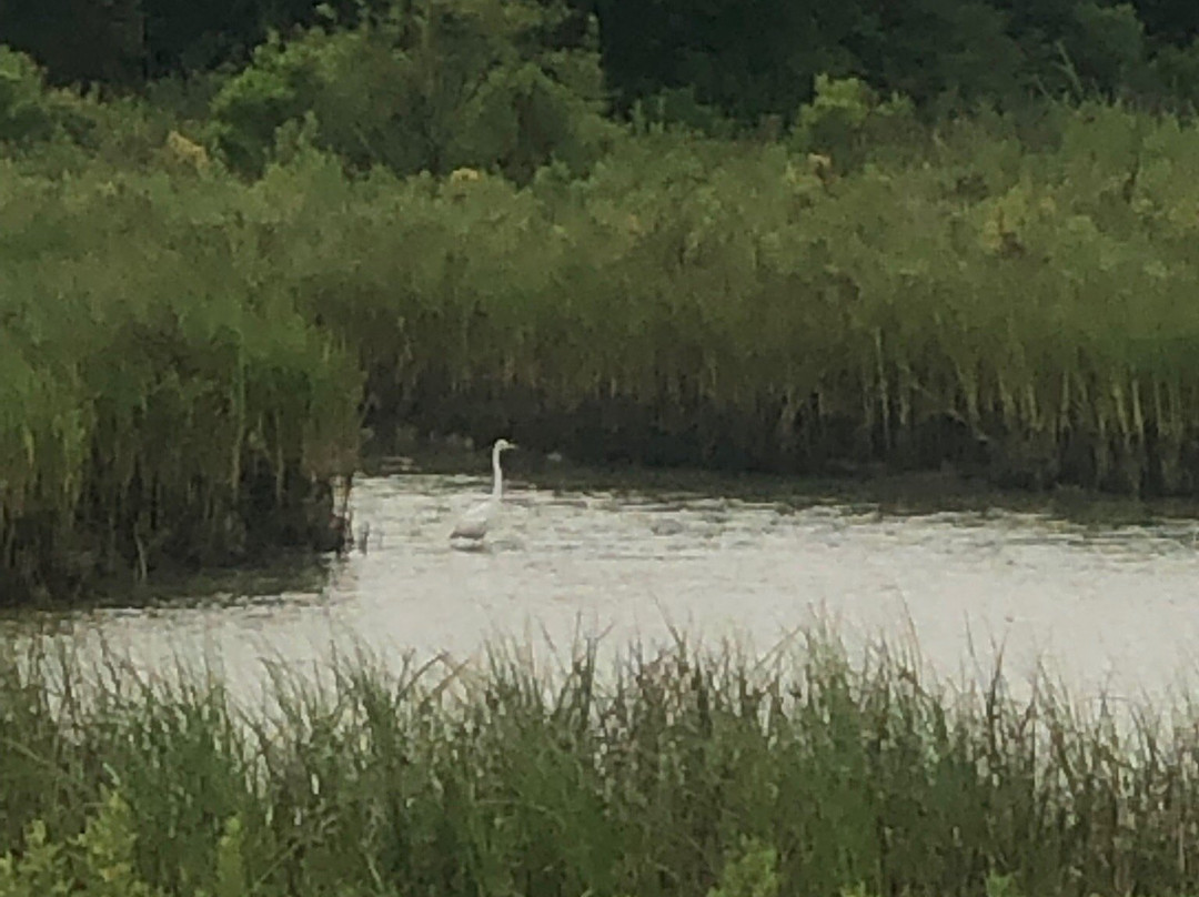 Baytown Nature Center-Baytown必去景点