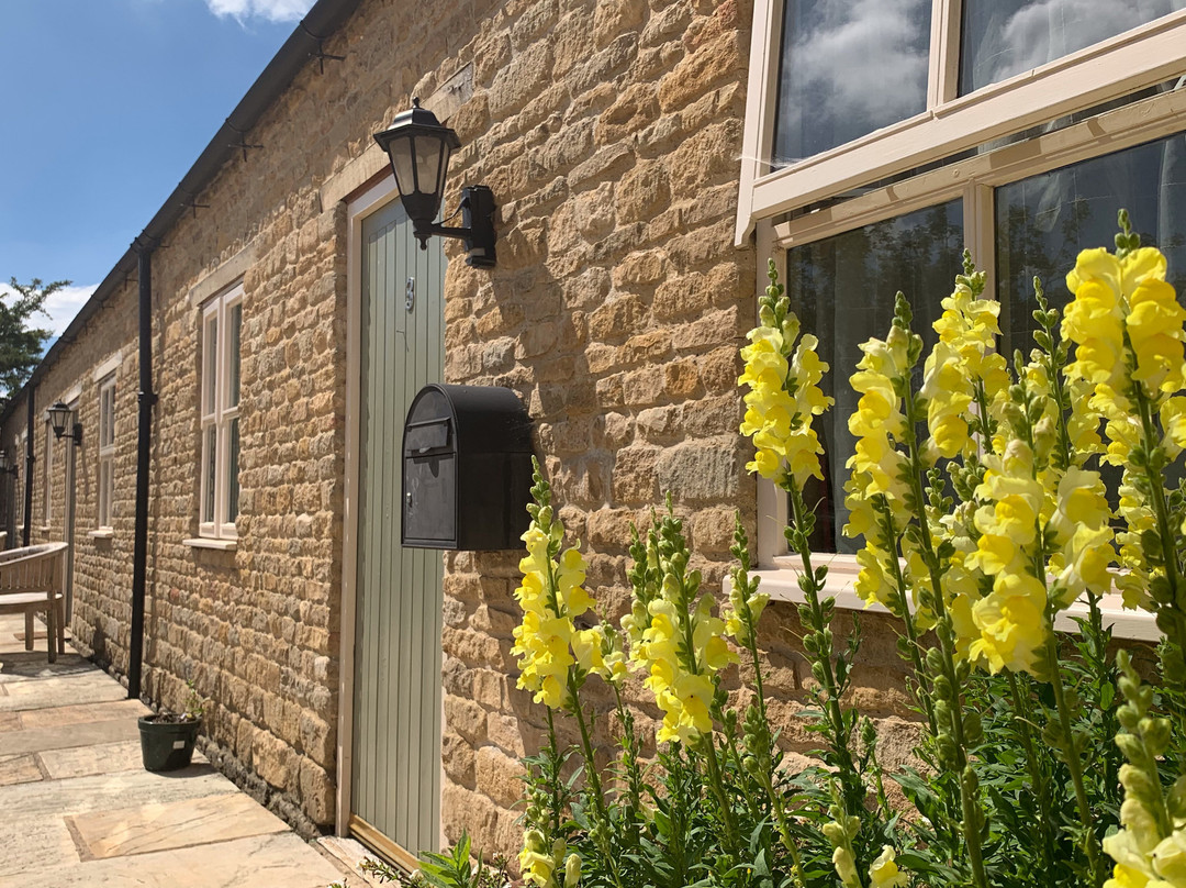 The Lily Pad Cottages