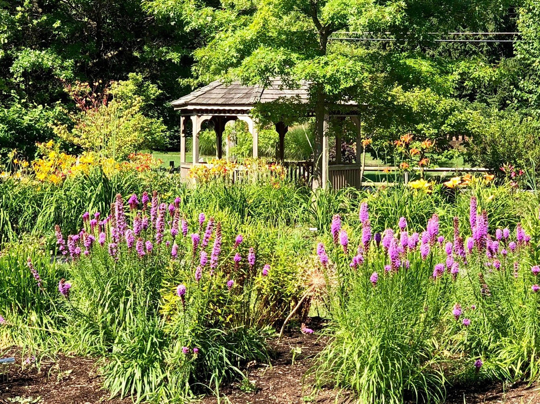 Simpson Garden Park-鲍灵格林必去景点