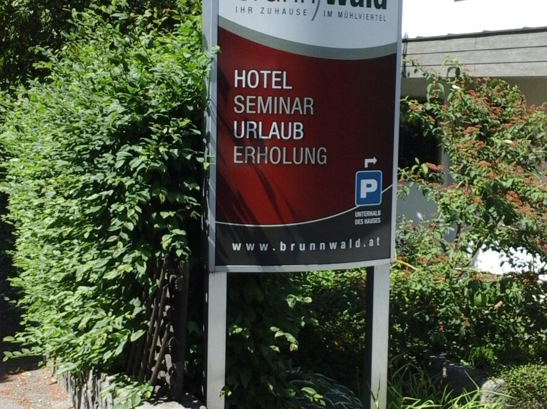 Hotel Brunnwald主图