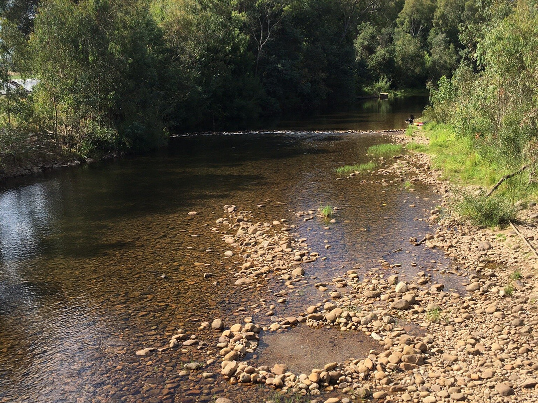 King River Caravan Park
