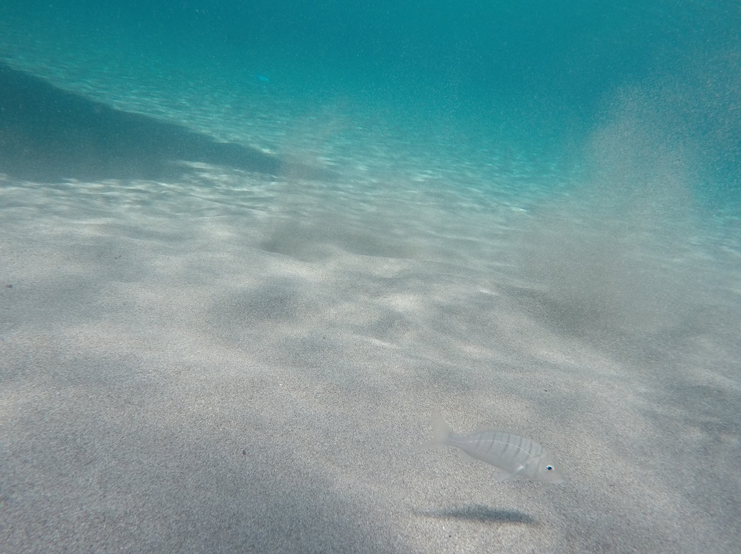 Maladroxia Beach-Isola di Sant Antioco必去景点