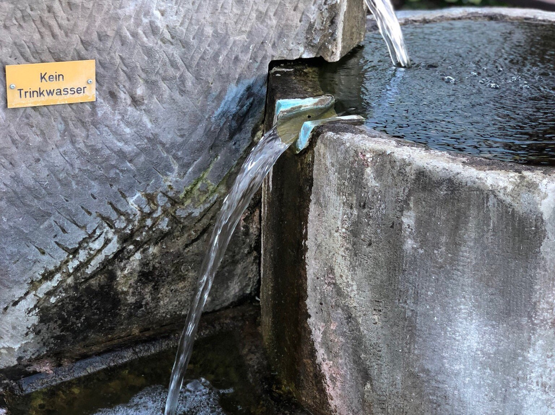 Römerbad Rosenfeld景点图片