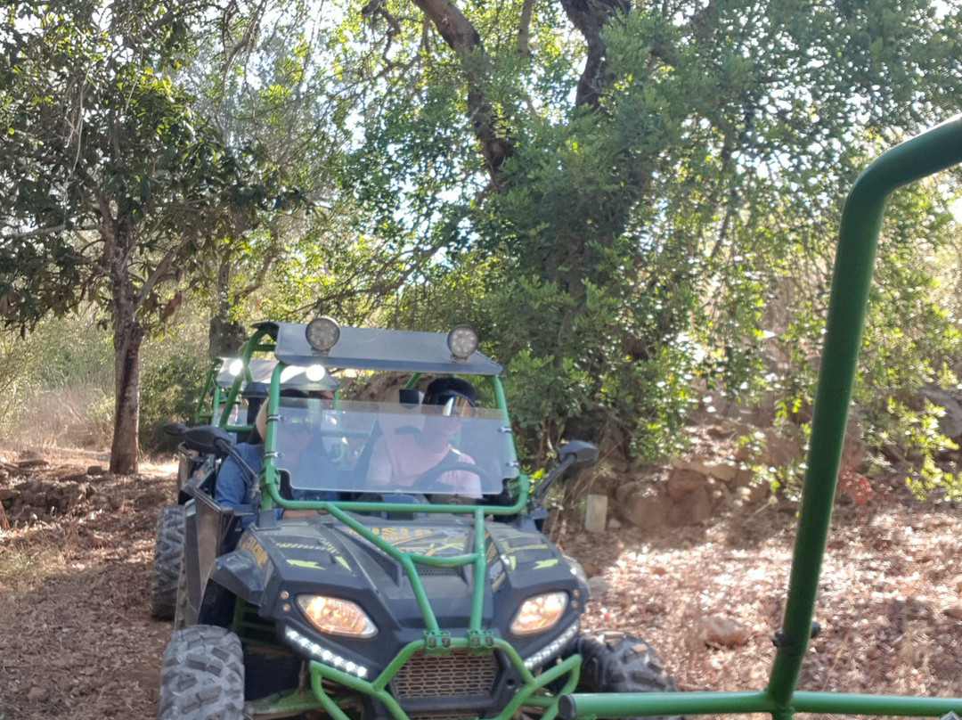 Buggy Safari景点图片