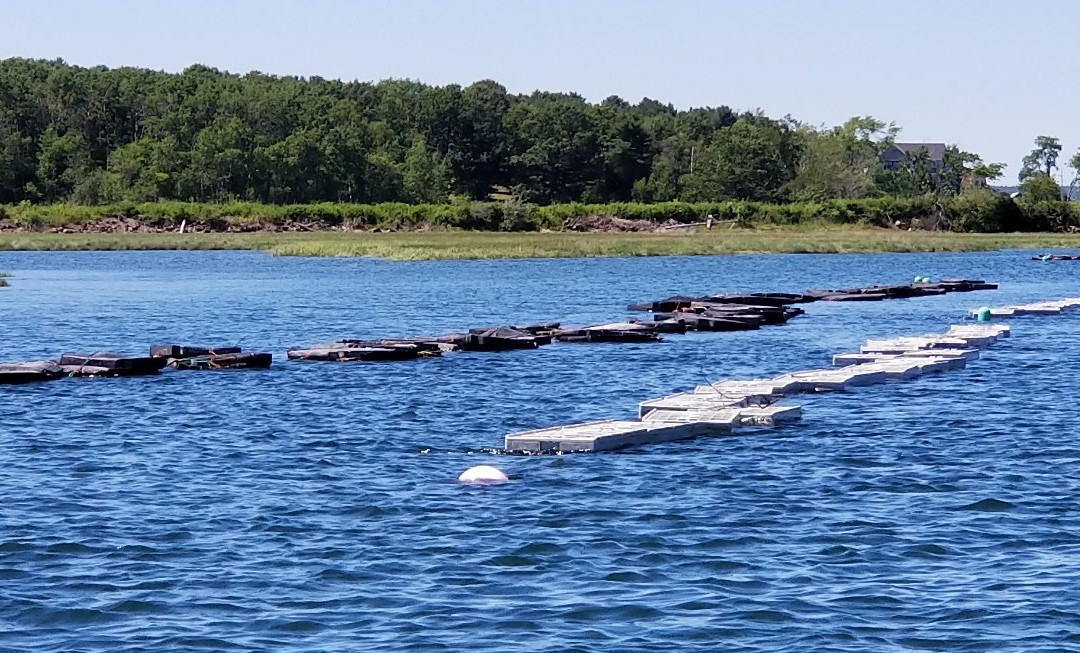 Nonesuch Oysters-斯卡伯勒必去景点
