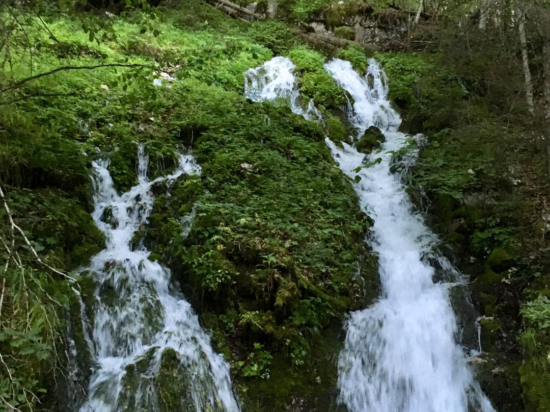 Waldbachstrub Waterfall-哈尔施塔特必去景点