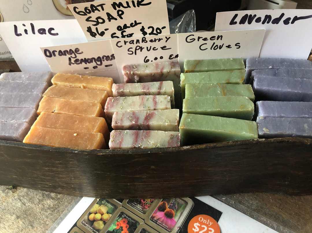 Red Shed Garden & Gifts-巴拉布必去景点