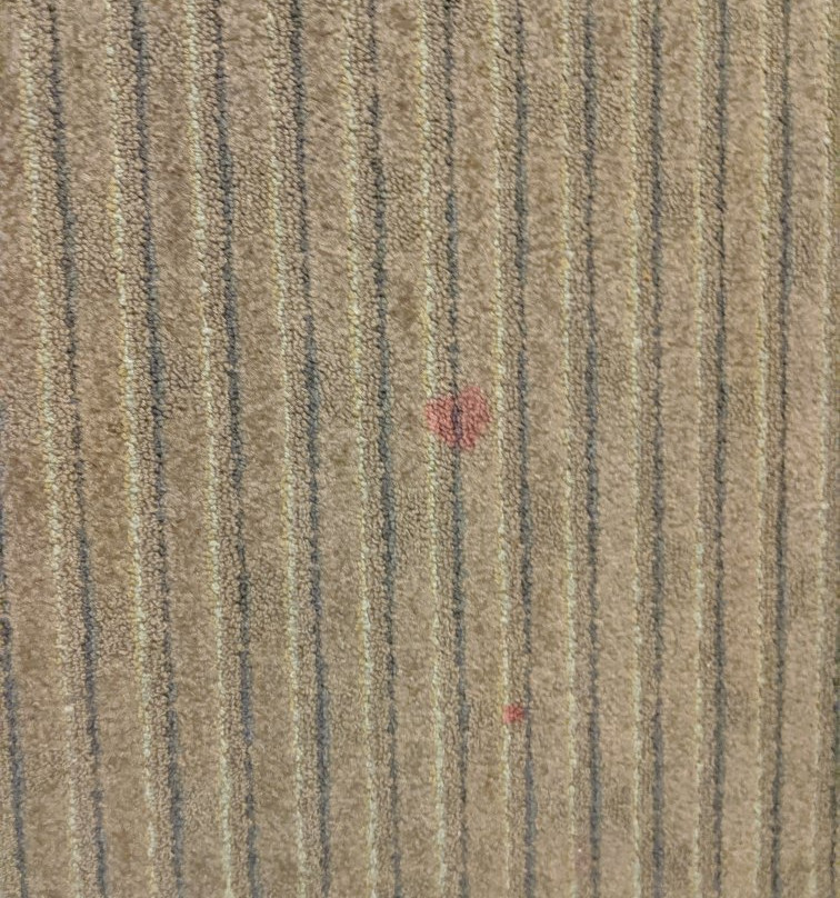 King's Pointe Waterpark Resort主图