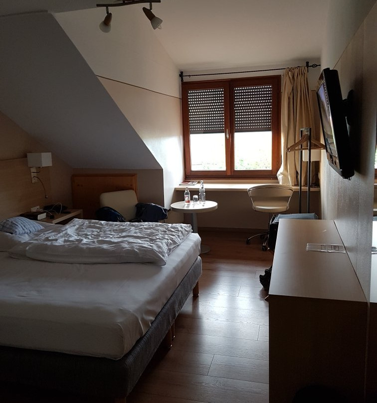 Hotel Gasthof Roessle主图