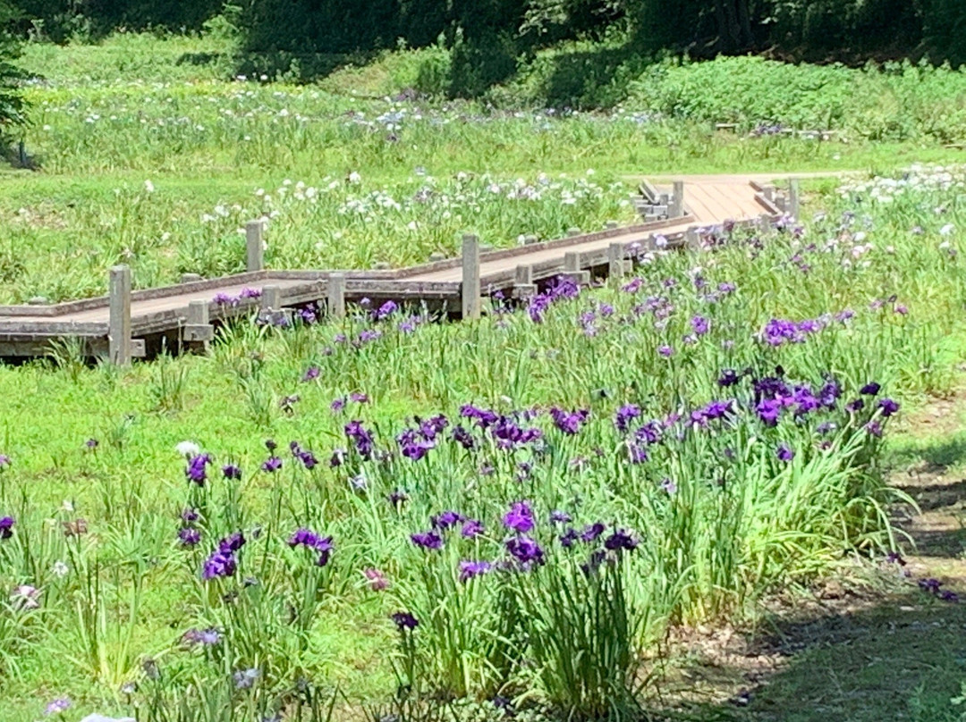 Showa no Mori Park-千叶市必去景点