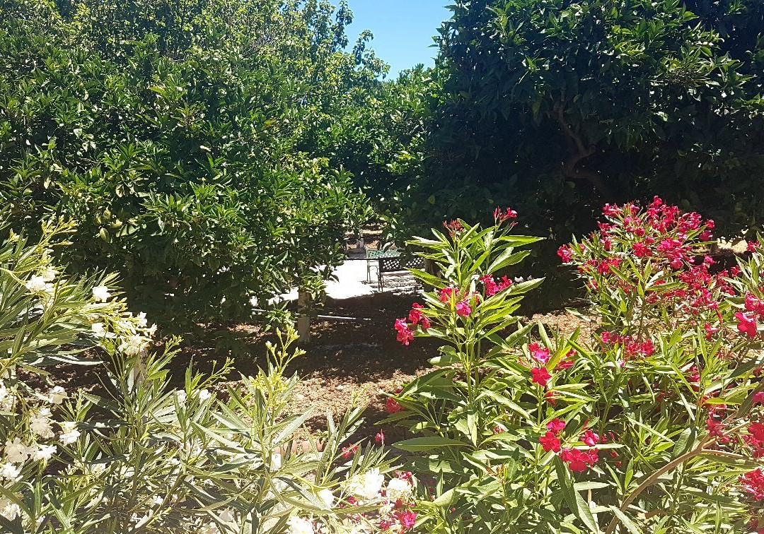 乌拉曼迪斯酒店主图