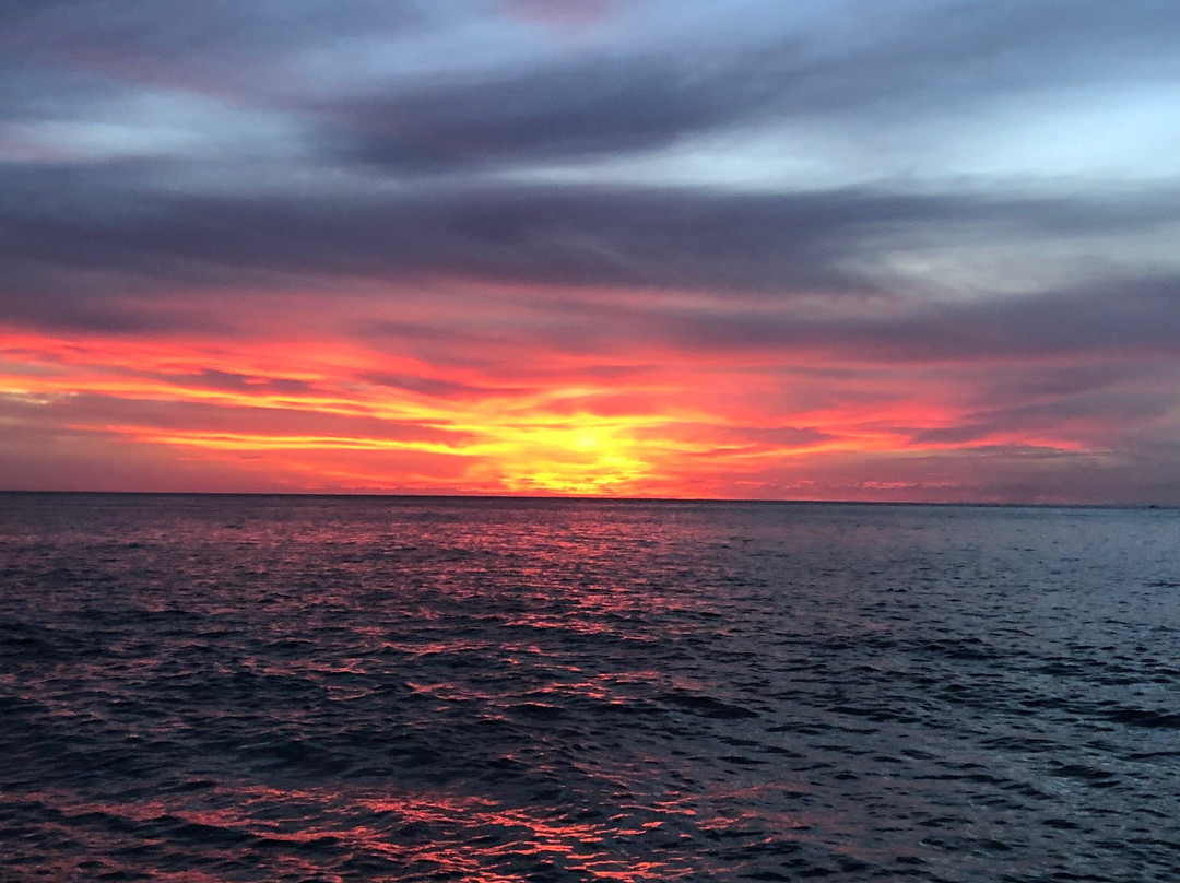 Lost Survivors Beach Camp-哈雷瓦必去景点