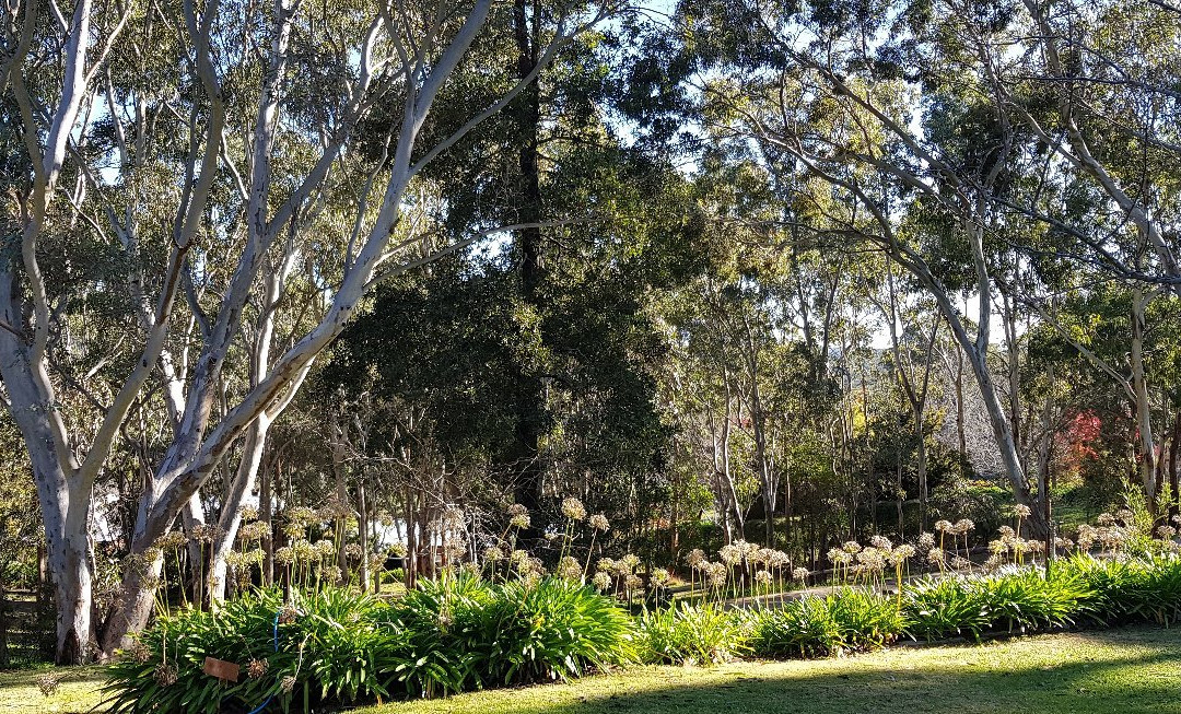 The Retreat at Stirling主图