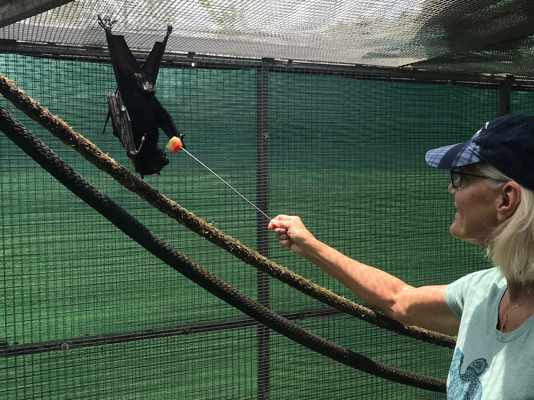 Lubee Bat Conservancy-盖恩斯维尔必去景点