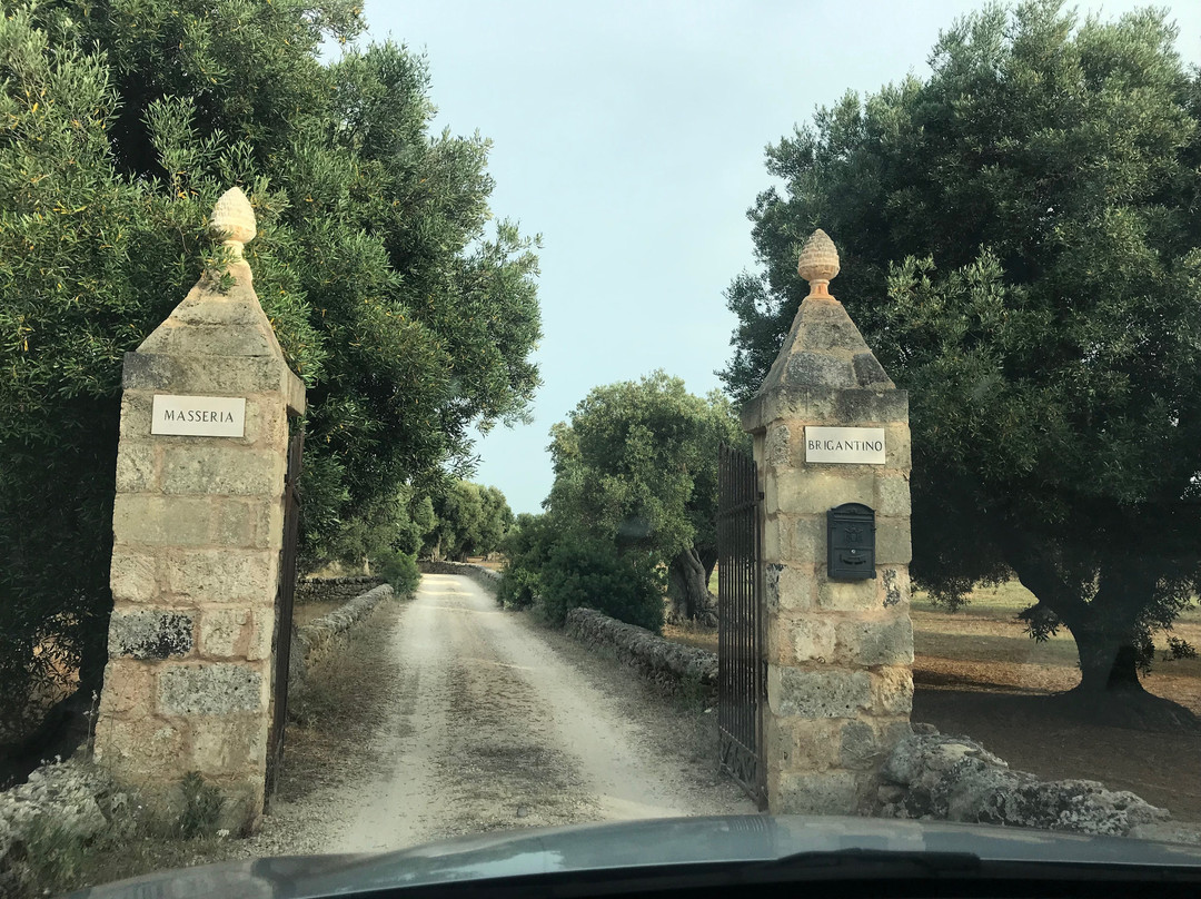 Masseria Brigantino主图