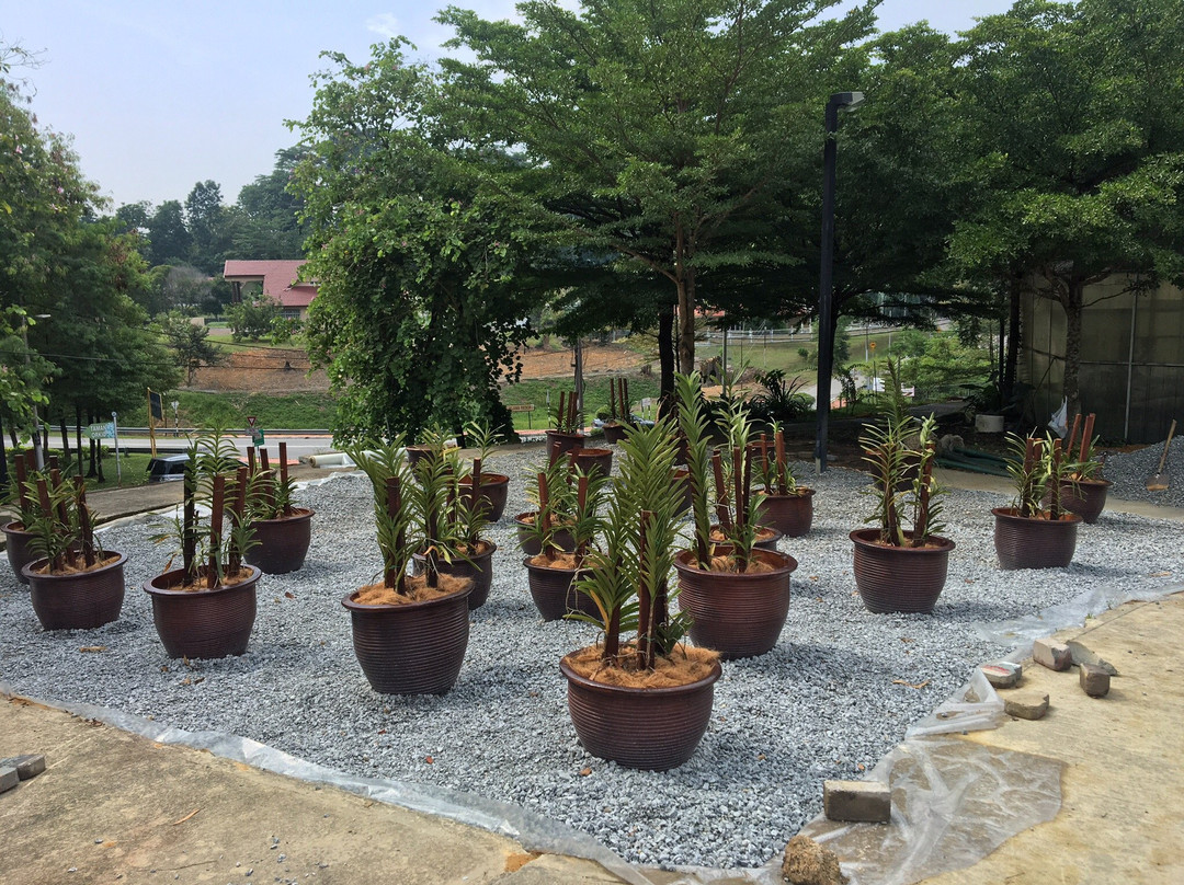 Taman Orkid Seremban景点图片