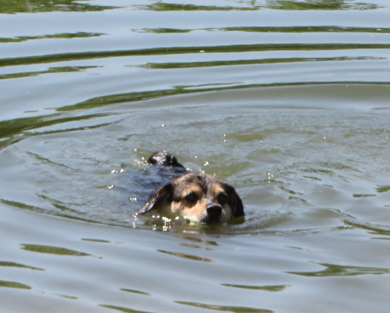 Twin Lakes Recreation Area-哥伦比亚市必去景点