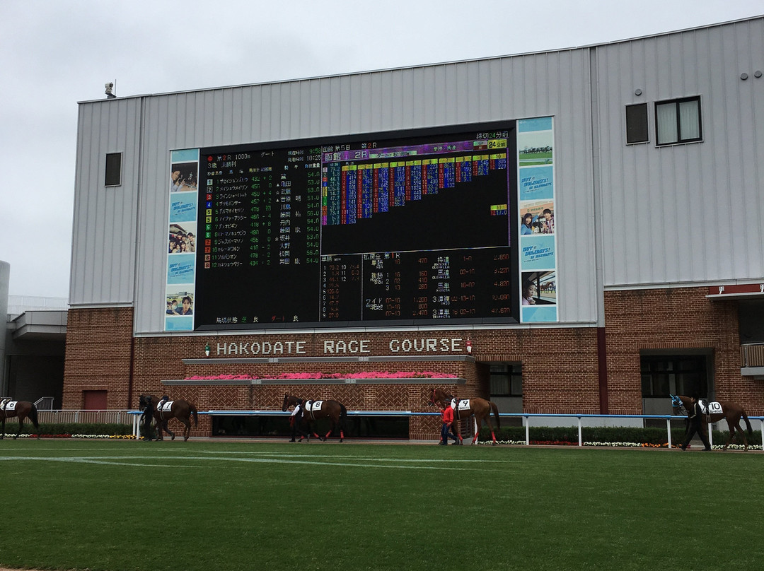 Hakodate Horse Racetrack-函馆市必去景点