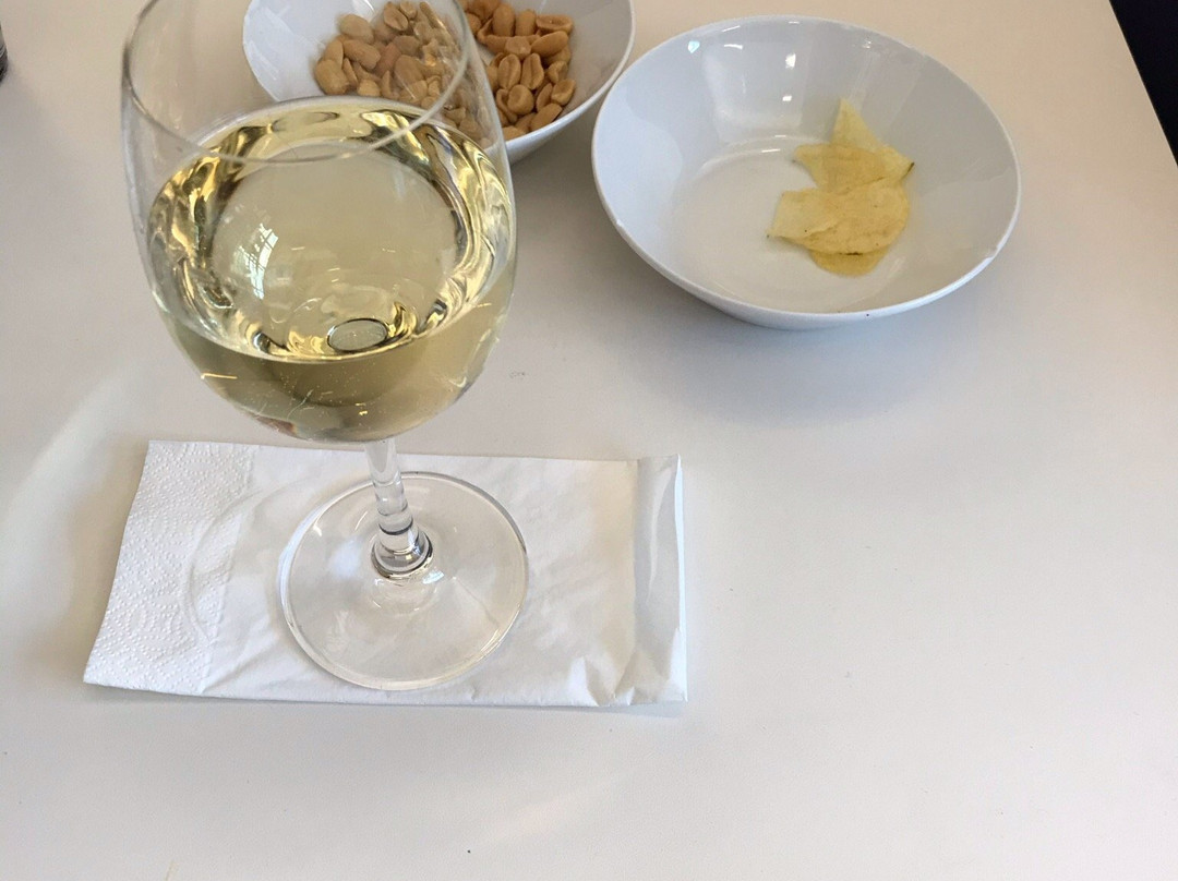 AIR Lounge (Non-Schengen Area flights)-徐威夏特必去景点