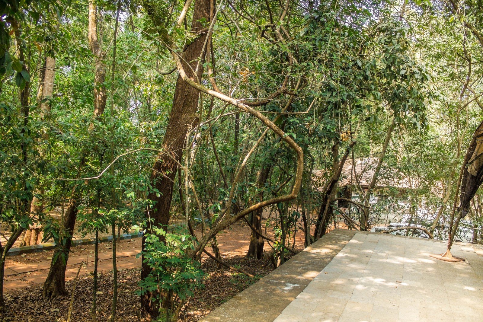 Seethanadi Nature Camp-酒店景观