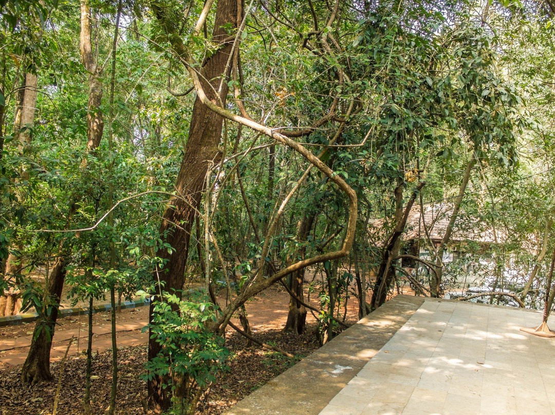 Seethanadi Nature Camp主图