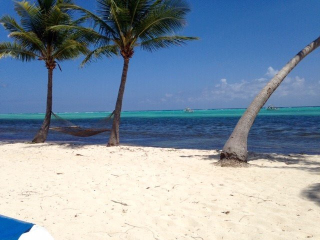 Little Cayman Beach Resort主图
