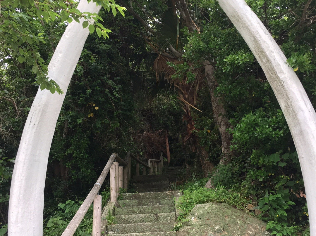 Kaido Shrine景点图片