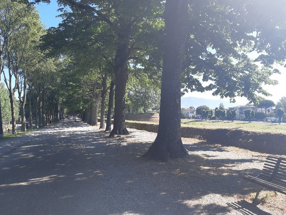 Cicli Rai Bike Rental-卢卡必去景点