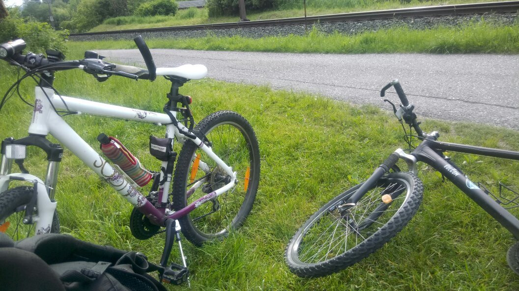 Ossiacher See Radweg (R2 und R2A)景点图片