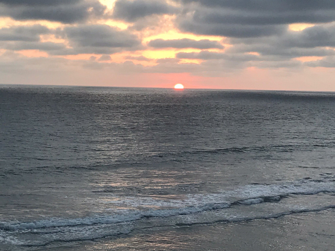 南卡尔斯巴德州立海滩-圣地亚哥必去景点