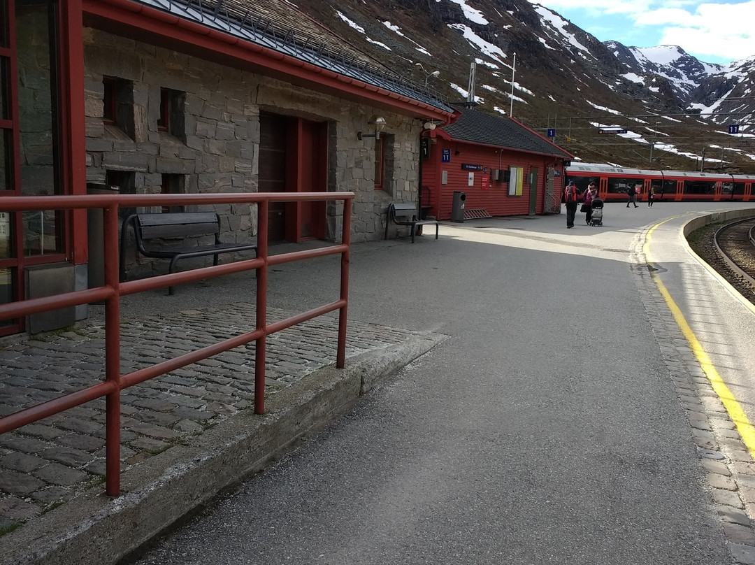 Myrdal Station-米达尔必去景点