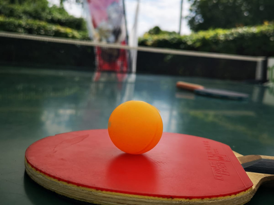 London Footgolf Centre-巴尼特必去景点